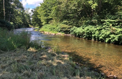 Newfoundland Otro | Tentrr Signature Site - Wallenpaupack Creek Camp 4