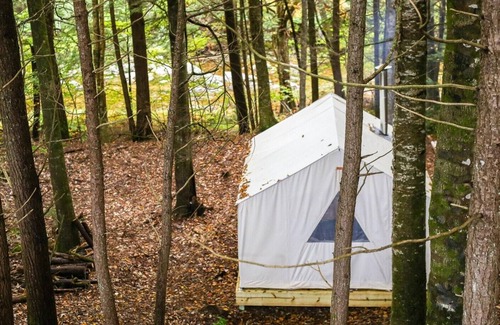 Bristol Alquiler De RV | Tentrr Signature Site - Whispering Pines At The River