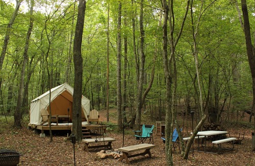 Pittsville Alquiler De RV | Tentrr Signature Site - The Babbling Brook