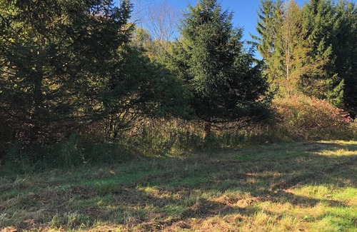 Irving Alquiler De RV | Tentrr Signature Site - Camping in the Pines