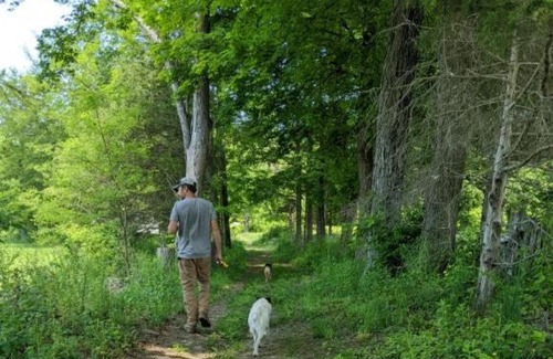 Walden Otro | Tentrr Signature Site - Pastoral Paradise on 42-Acre Farm Close to NYC
