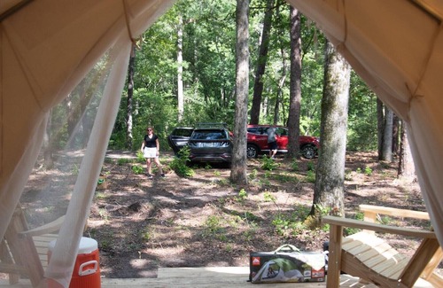 Florence Alquiler De RV | Tentrr Signature Site - The Woods at Black Creek - The Swamp Fox