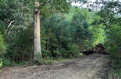 Unionville Otro | Tentrr Signature Site - Verdiersville Tavern- The Camp at Dearsville