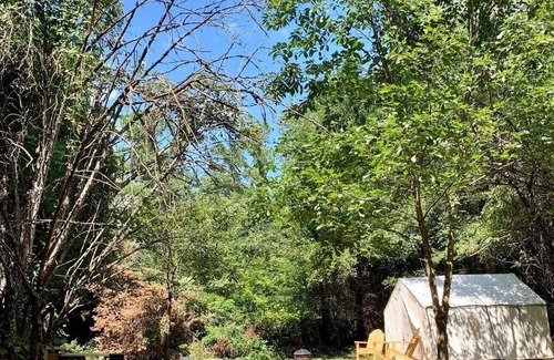 Winston - Salem Alquiler De RV | Tentrr Signature Site - Fairytale Farm Sanctuary Campsite