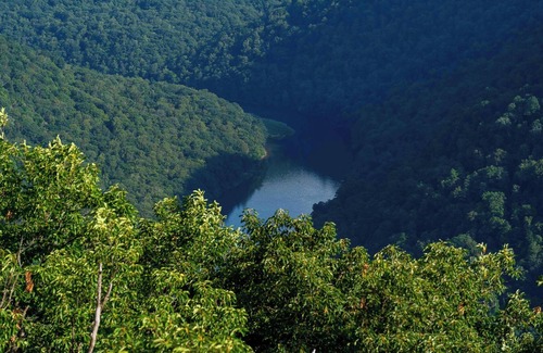 Gans Alquiler De RV | Tentrr State Park Site - WV Coopers Rock State Park - Site C - Single Camp