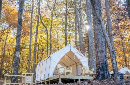 Dennis Alquiler De RV | Tentrr State Park Site - Mississippi Tishomingo State Park - Haynes Lake South E