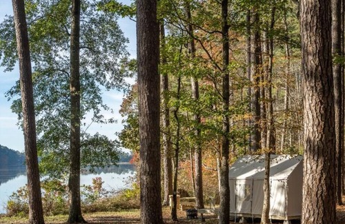 Morton Alquiler De RV | Tentrr State Park Site - Mississippi Roosevelt State Park - Shadow Lake E - Sing