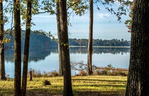 Morton Otro | Tentrr State Park Site - Mississippi Roosevelt State Park - Tall Trees B - Single Camp