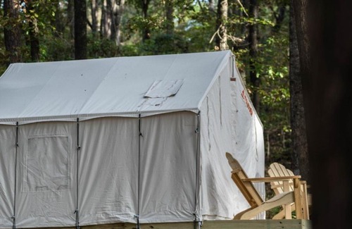 Morton Otro | Tentrr State Park Site - Mississippi Roosevelt State Park - Tall Trees B - Single Camp