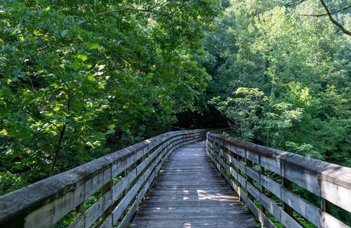 Ansted Alquiler De RV | Tentrr State Park Site - WV Hawk's Nest State Park - Site G - Single Camp