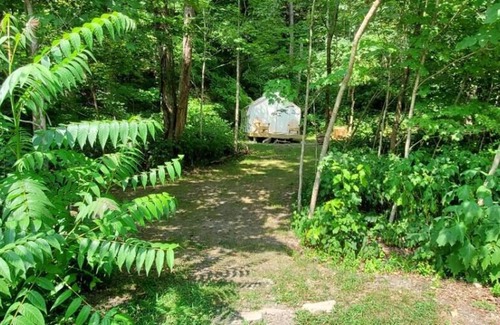 Ansted Alquiler De RV | Tentrr State Park Site - WV Hawk's Nest State Park - Site C - Single Camp