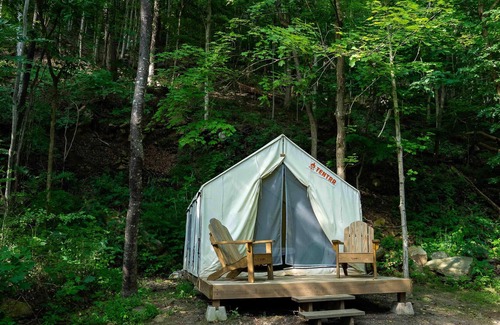 Ansted Alquiler De RV | Tentrr State Park Site - WV Hawk's Nest State Park - Site D - Single Camp