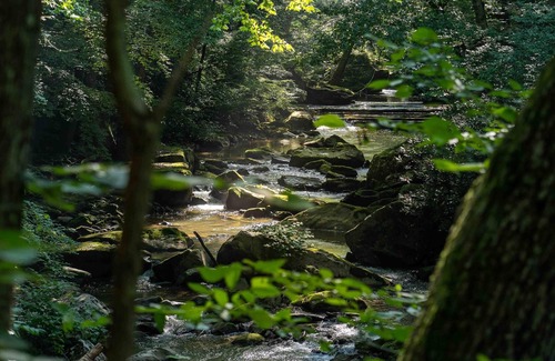 Ansted Alquiler De RV | Tentrr State Park Site - WV Hawk's Nest State Park - Site D - Single Camp