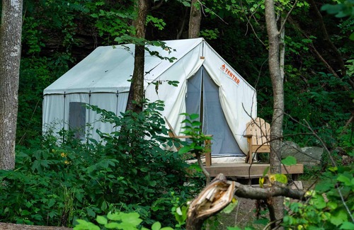 Ansted Alquiler De RV | Tentrr State Park Site - WV Hawk's Nest State Park - Site D - Single Camp