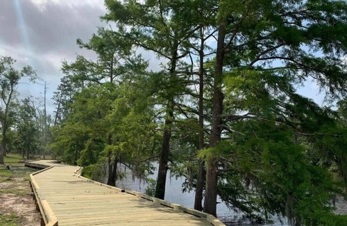 Lake Charles Alquiler De RV | Tentrr State Park Site - Louisiana Sam Houston Jones State Park - Woodland I Sin
