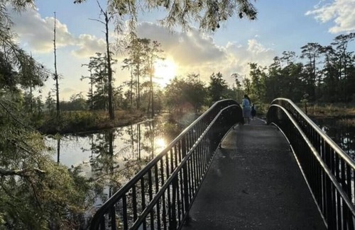 Lake Charles Alquiler De RV | Tentrr State Park Site - Louisiana Sam Houston Jones State Park - Woodland I Sin