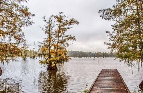 Saint Landry Alquiler De RV | Tentrr State Park Site - Louisiana Chicot State Park - Site B - Double Camp