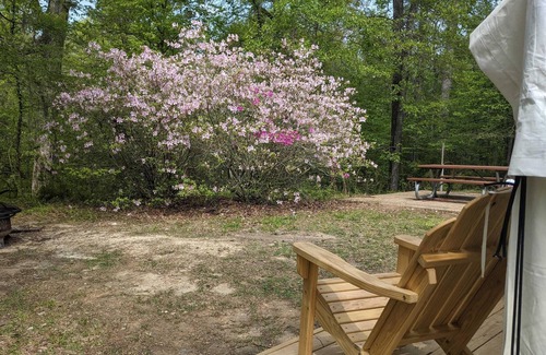 Saint Landry Alquiler De RV | Tentrr State Park Site - Louisiana Chicot State Park - Site C - Double Camp