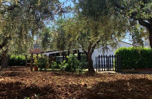 Vasto Casa | Tenuta Del Casale