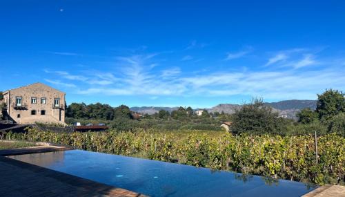 Rovittello Complejo | Tenuta di Fessina