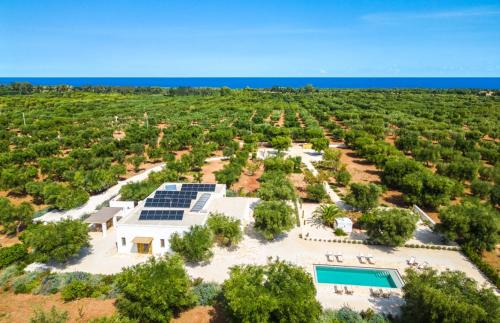 Ostuni Villa | Tenuta Fonte
