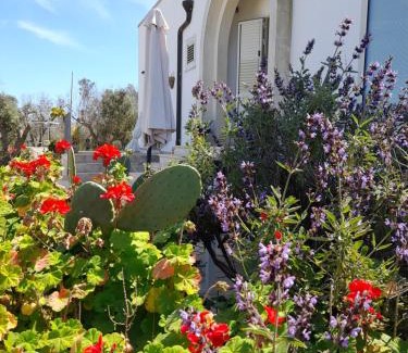 Casamassella Cama Y Desayuno | Tenuta Valle dell Idro Otranto
