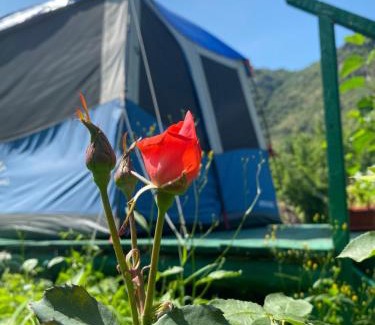 Armenia Otro | Tereza glamping