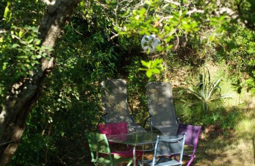 Santo Estevao Casa | Terra das Delicias