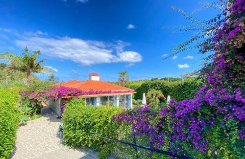 Ribeira Grande Casa | Terra Vivaz - Ribeira Cottage