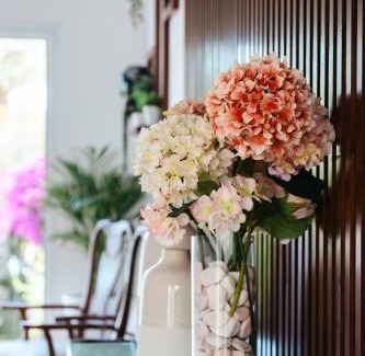 Ribeira Grande Casa | Terra Vivaz - Ribeira Cottage