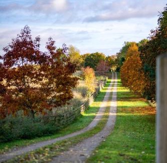North Stainley Casa | Terrace Barn
