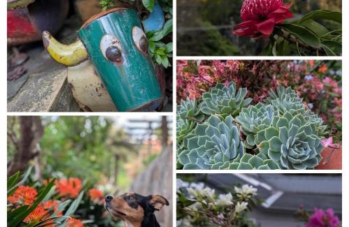 Warburton Casa | Terraces of Warburton