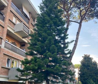 Rione XIV Borgo Apartamento | Terracito!