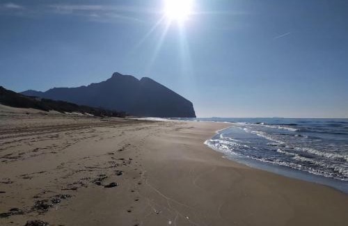Latina Lido Apartamento | TERRAMARE Casa Vacanze al Circeo