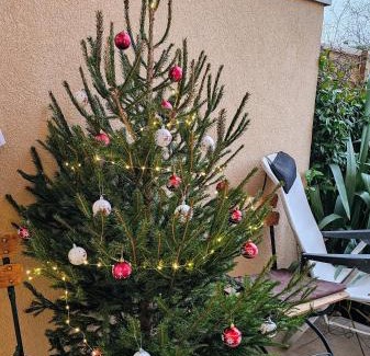 Vienne Apartamento | Terrasse de Malissol