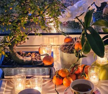 Vienne Apartamento | Terrasse de Malissol