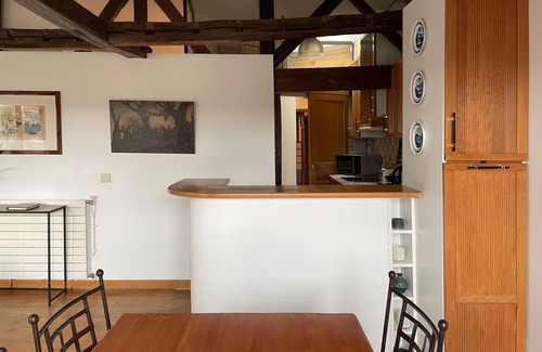 Odeon Apartamento | Terrasse du Prince, top location 2 BR/BTH, A/C lift parking terrace, close M&RER