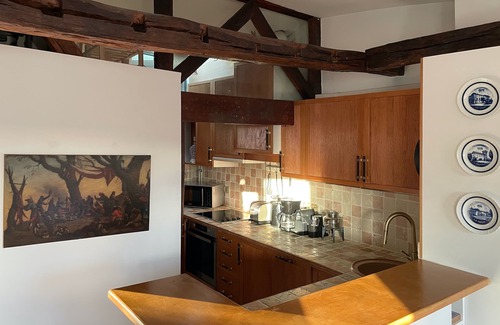 Odeon Apartamento | Terrasse du Prince, top location 2 BR/BTH, A/C lift parking terrace, close M&RER