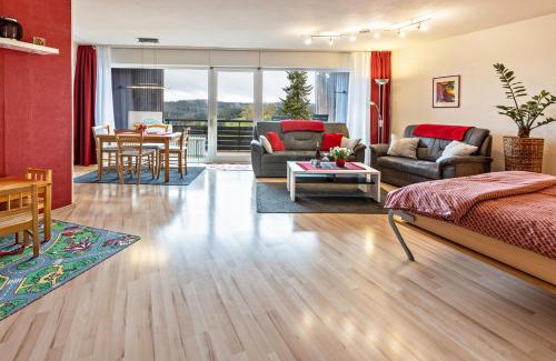 Schonach im Schwarzwald Apartamento | Terrassenpark Schonach App 161