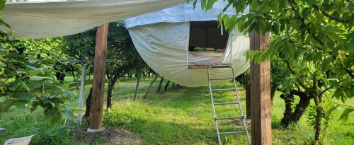 Spresiano Otro | terrebioSatellite