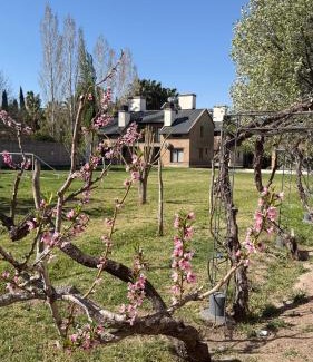 Guaymallen Apartamento | Terroir Village - Complejo en Mendoza
