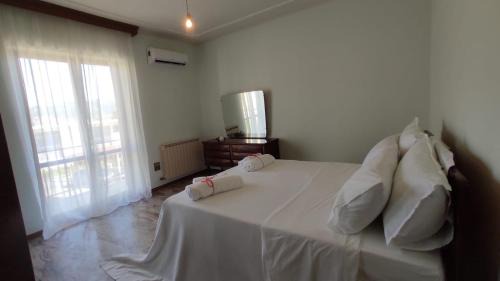 Fondi Casa | Terry's House