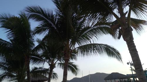 Las Gaviotas Apartamento | Tesoro Palmas Resort