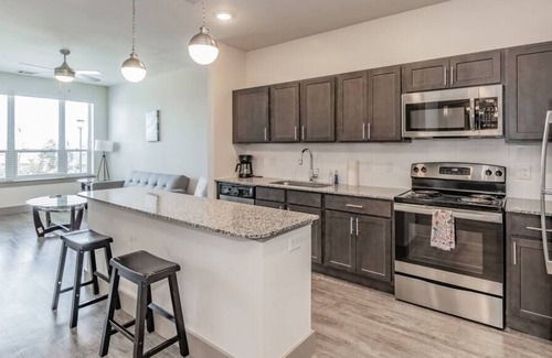 Lewisville Apartamento | Texas Corporate Housing Solutions Professional Apt