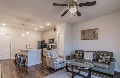 Elmo Apartamento | Texas Corporate Housing Professional Apartment