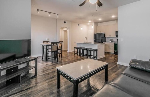 Elmo Apartamento | Texas Corporate Housing Professional Apartment