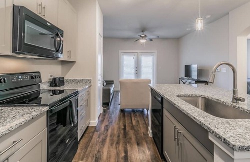 Elmo Apartamento | Texas Corporate Housing Solutions Professional Apt