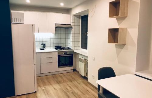 Sukhinovka Apartamento | TF Apartment двокімнатні апартаменти в центрі міста