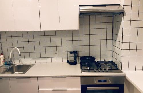 Sukhinovka Apartamento | TF Apartment двокімнатні апартаменти в центрі міста