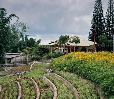 Bao Loc Casa | Thông Vi Vu Glamping